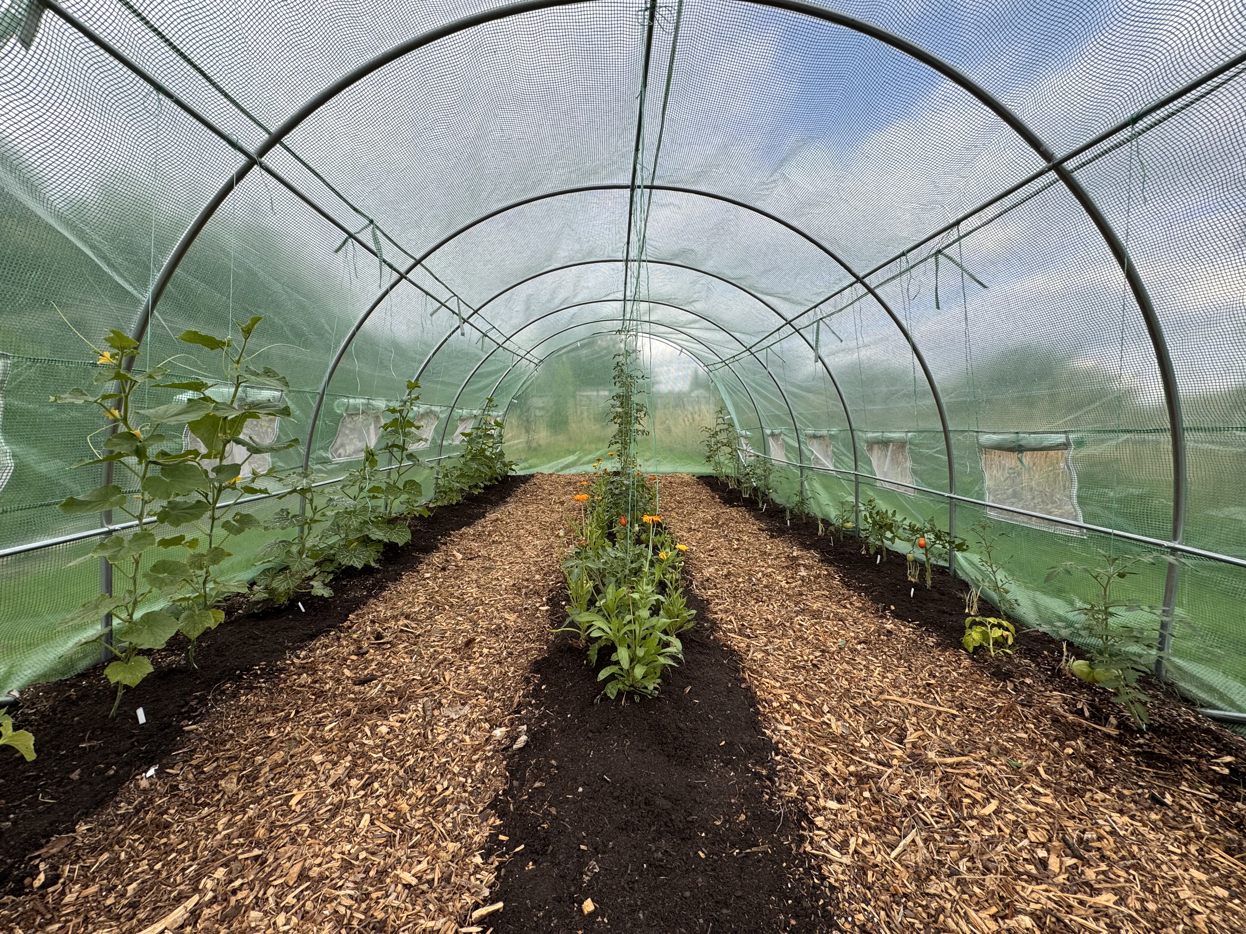 Life on the plot
