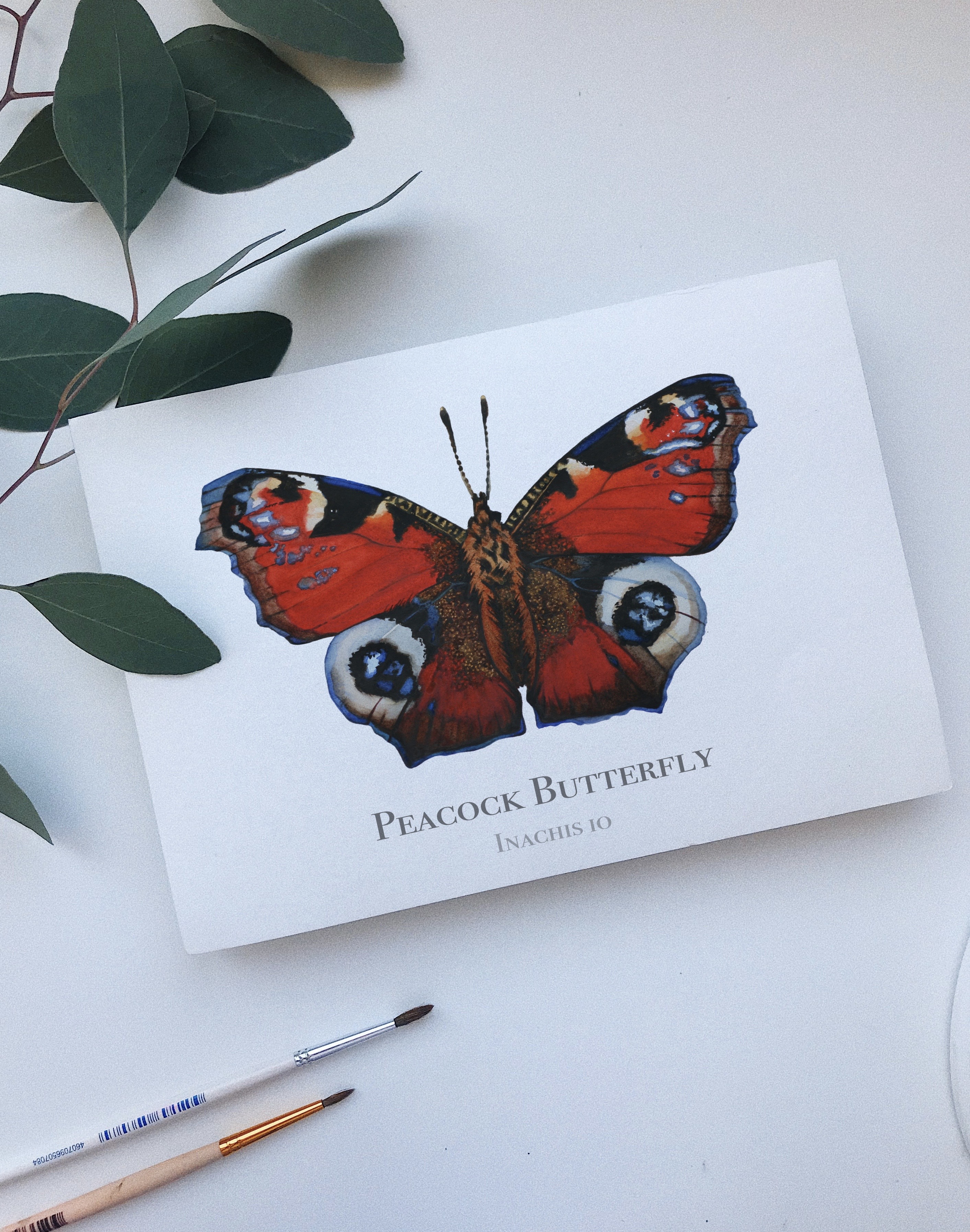 The Art of Looking Closer: Inspiration from My Garden